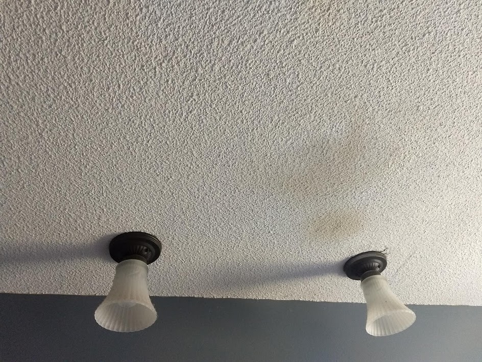 Leaky Roof Mold 828 351 9191
